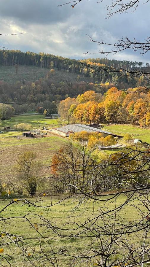 Ferienapartments Reitanlage Schenksolz Schenklengsfeld Экстерьер фото